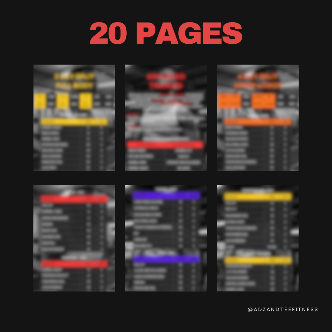 12 Week Muscle Gain Program