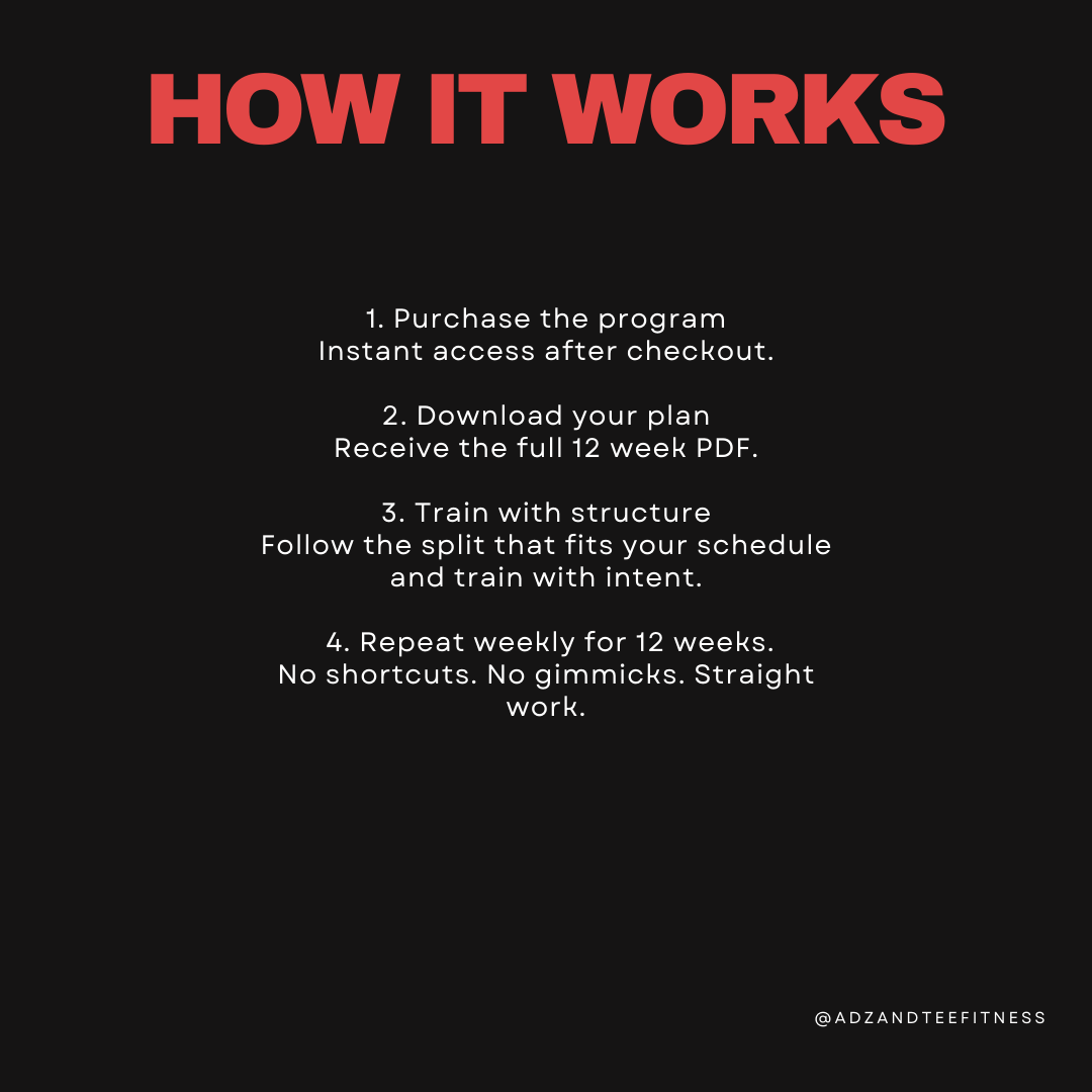 12 Week Muscle Gain Program